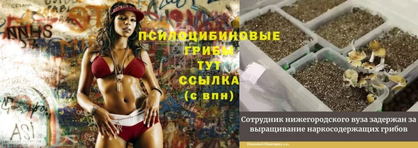круглые Арсеньев